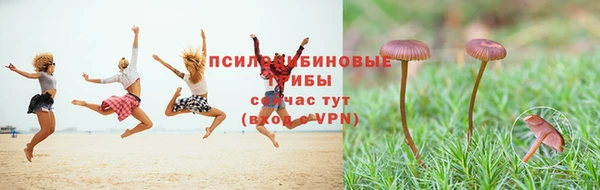 эйфоретик Новодвинск