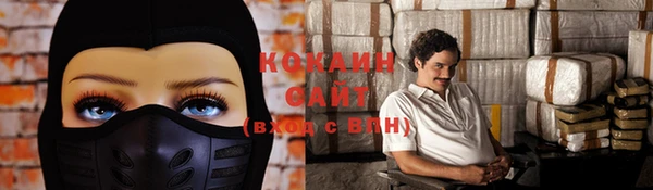 тгк Нея