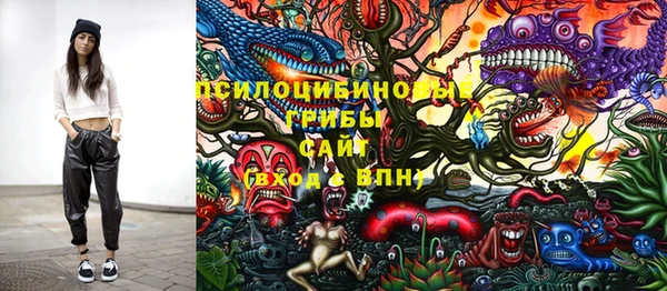 ПСИЛОЦИБИНОВЫЕ ГРИБЫ Нефтегорск