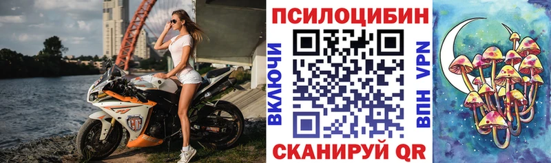 Псилоцибиновые грибы ЛСД  Купить где  Лодейное Поле 